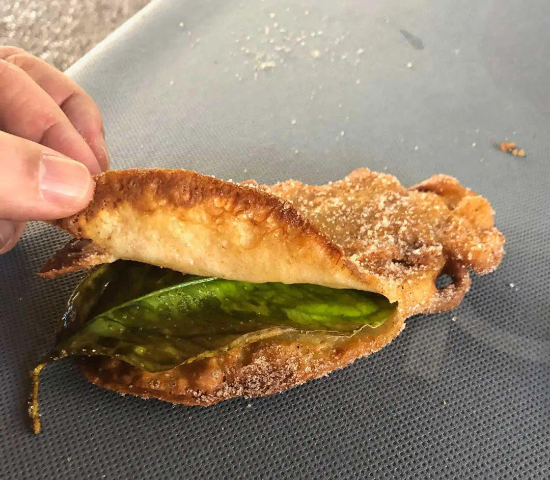 hoja de limonero paparajote