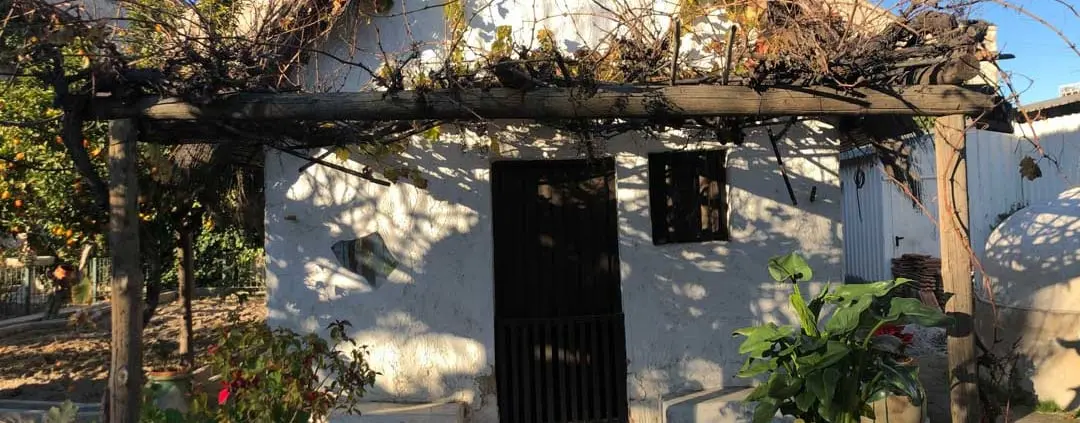 federacion de peñas huertanas